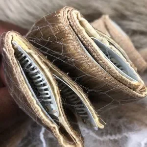 Hair | 24 Straight Light Ash Blonde 28g Clip Insnew | Poshmark display picture 3